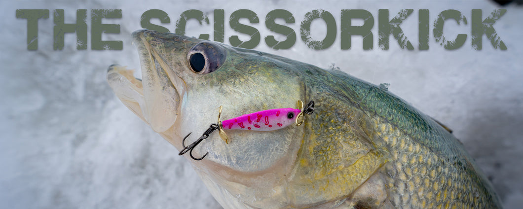 Fish Frostbite USA