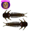 Bug Muck